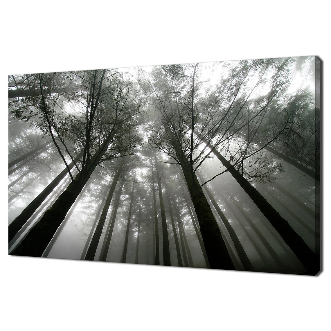 Black And White Trees In The Foggy Forest Modern Design Home Decor Print Wall Art Picture Wall Hanging