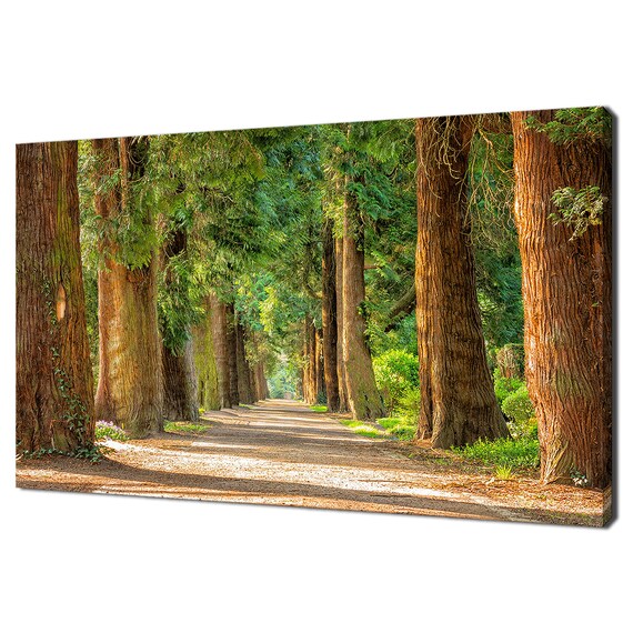 Forest Path, Nature Modern Design Art Print