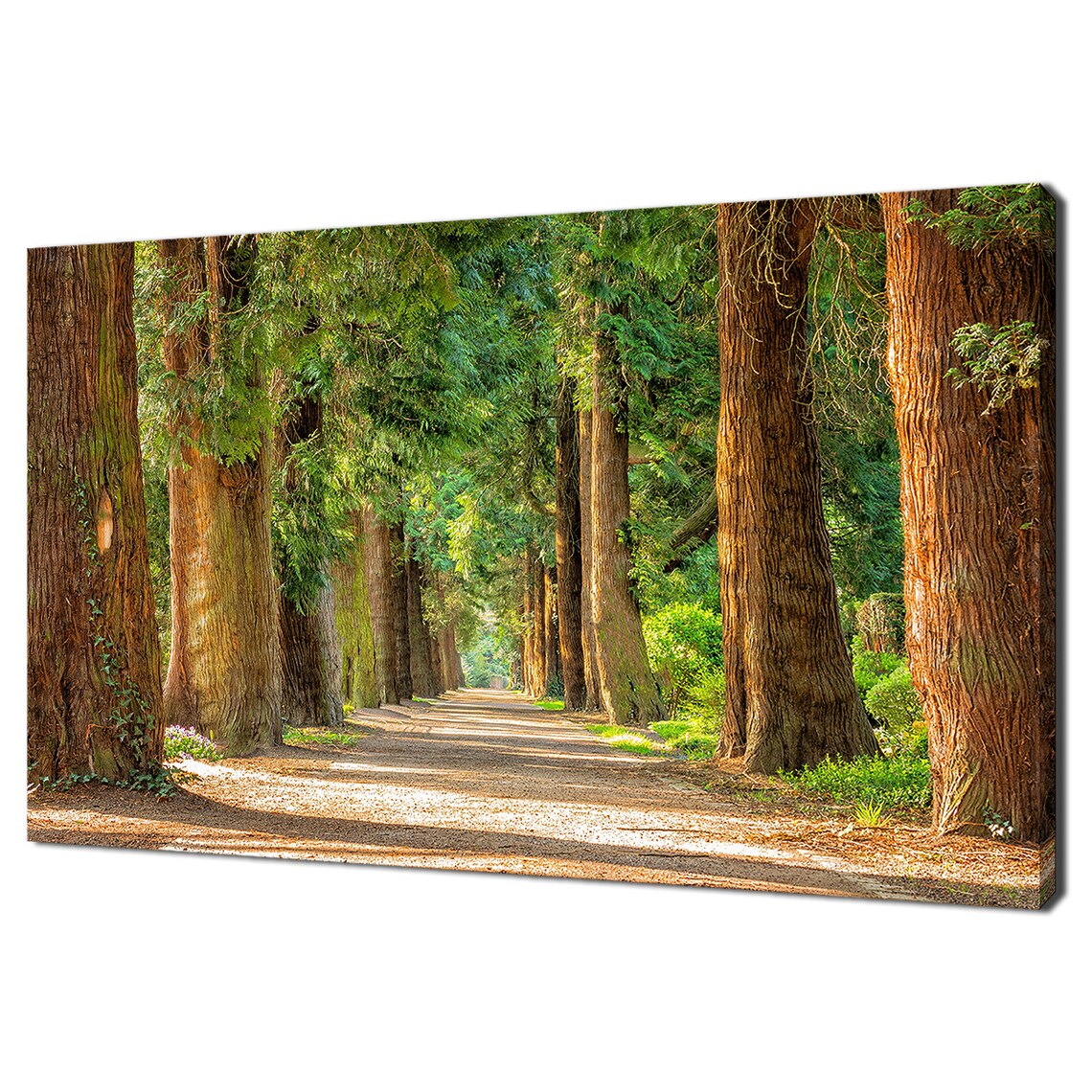 Forest Path, Nature Modern Design Art Print