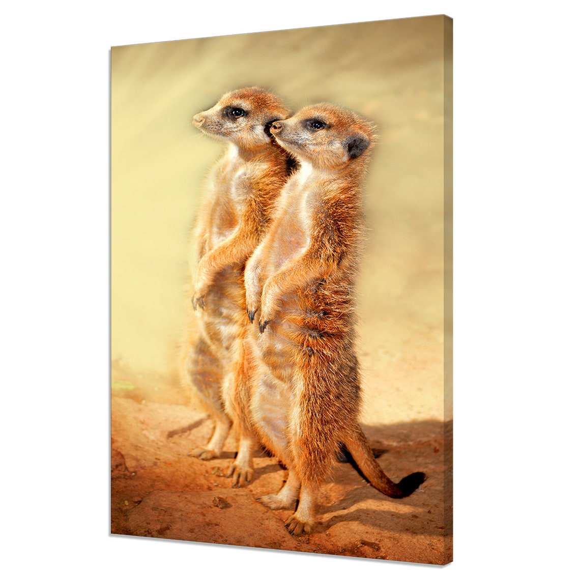 Two Meerkats Standing Tall Together On Red Desert Sand Photo Poster