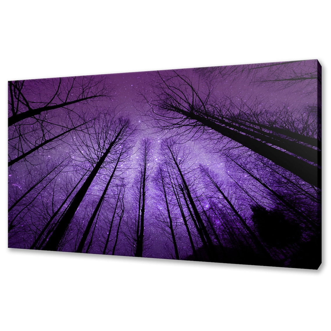 Purple Starry Night Sky Through Bare Tree Tops Forest Poster