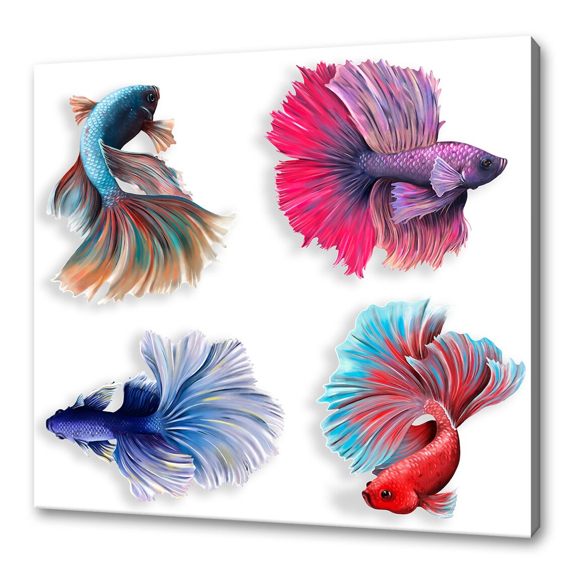 Colourful Siamese Fighting Fish Betta Fish Watercolour Painting Splatter Style Modern Design Home Decor Print Wall Art Picture
