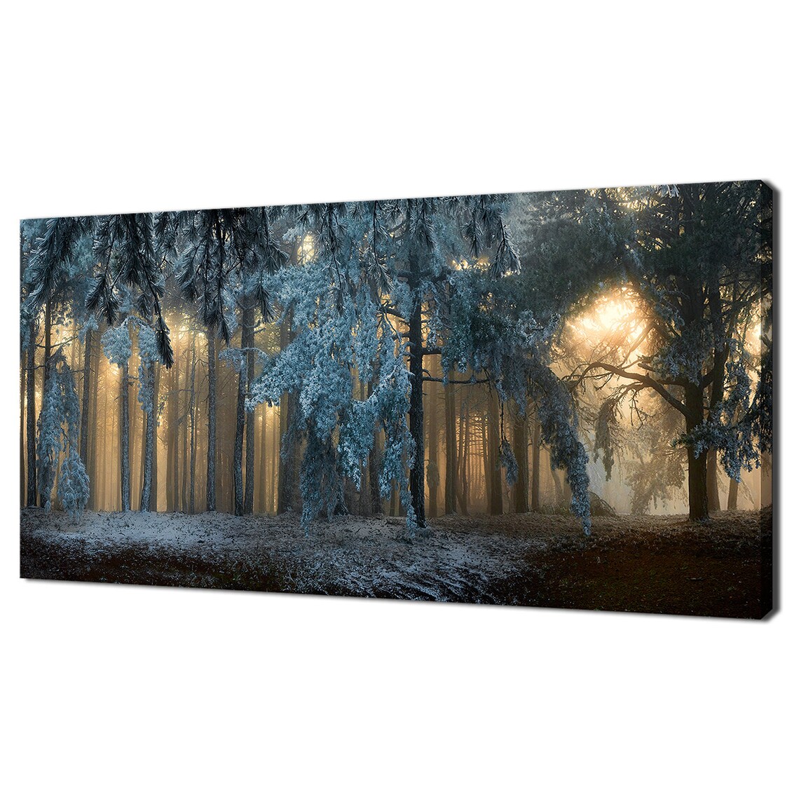 Winter Sunlight Through Foggy Pine Forest Golden Morning Wall Poster