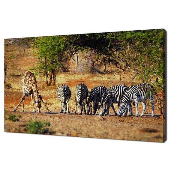 Giraffe and Zebras at African Waterhole Safari Wildlife Poster