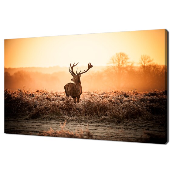 Red Deer Stag At Golden Sunrise Frosty Field Majestic Wildlife Art Poster