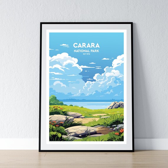 Beautiful Carara National Park Est 1978 Wildflower Meadow Travel Poster