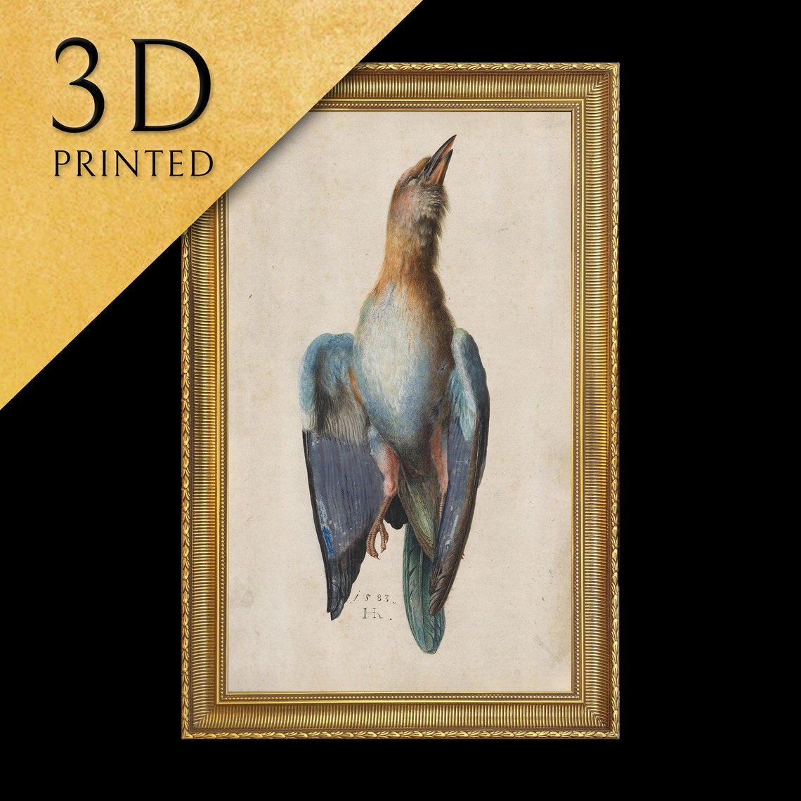 Albrecht Durer Dead Blue Roller 1512 Natural Bird Study Poster