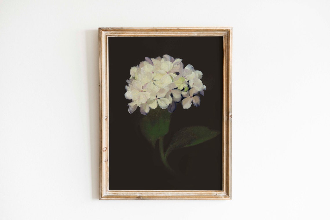 White Hydrangea Black Background Moody Floral Oil Painting Poster - Image 3