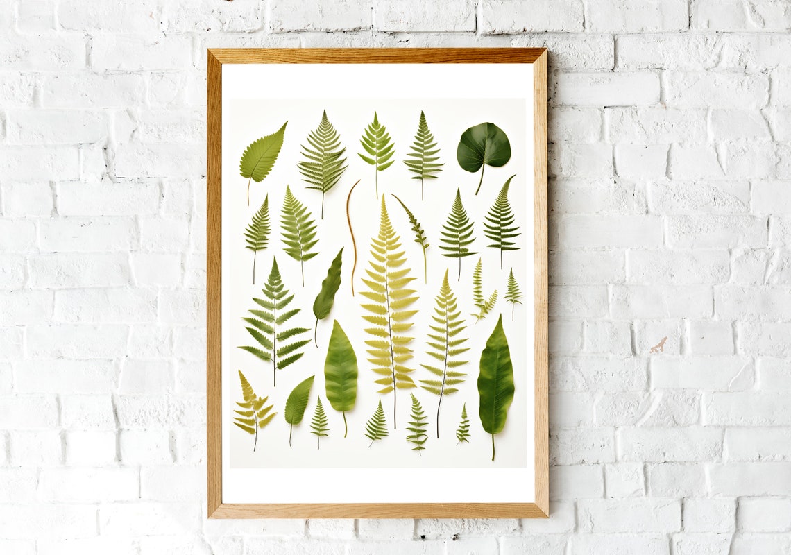 Fern Species Botanical Chart Green Leaves Vintage Study Poster - Image 3