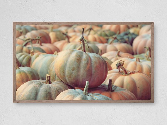 Pastel Pumpkin Patch Pile Fall Harvest Rustic Autumn Decor Print Poster