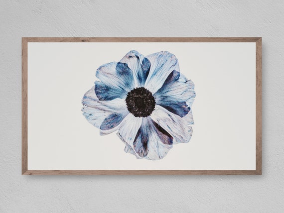 Single Flower Art Print