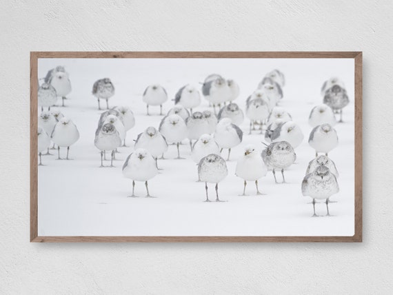 Snow Birds Christmas Art Print, Winter Holiday Decor