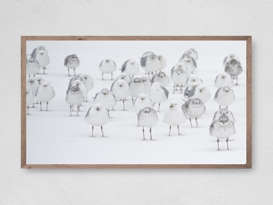 Snow Birds Christmas Art Print, Winter Holiday Decor