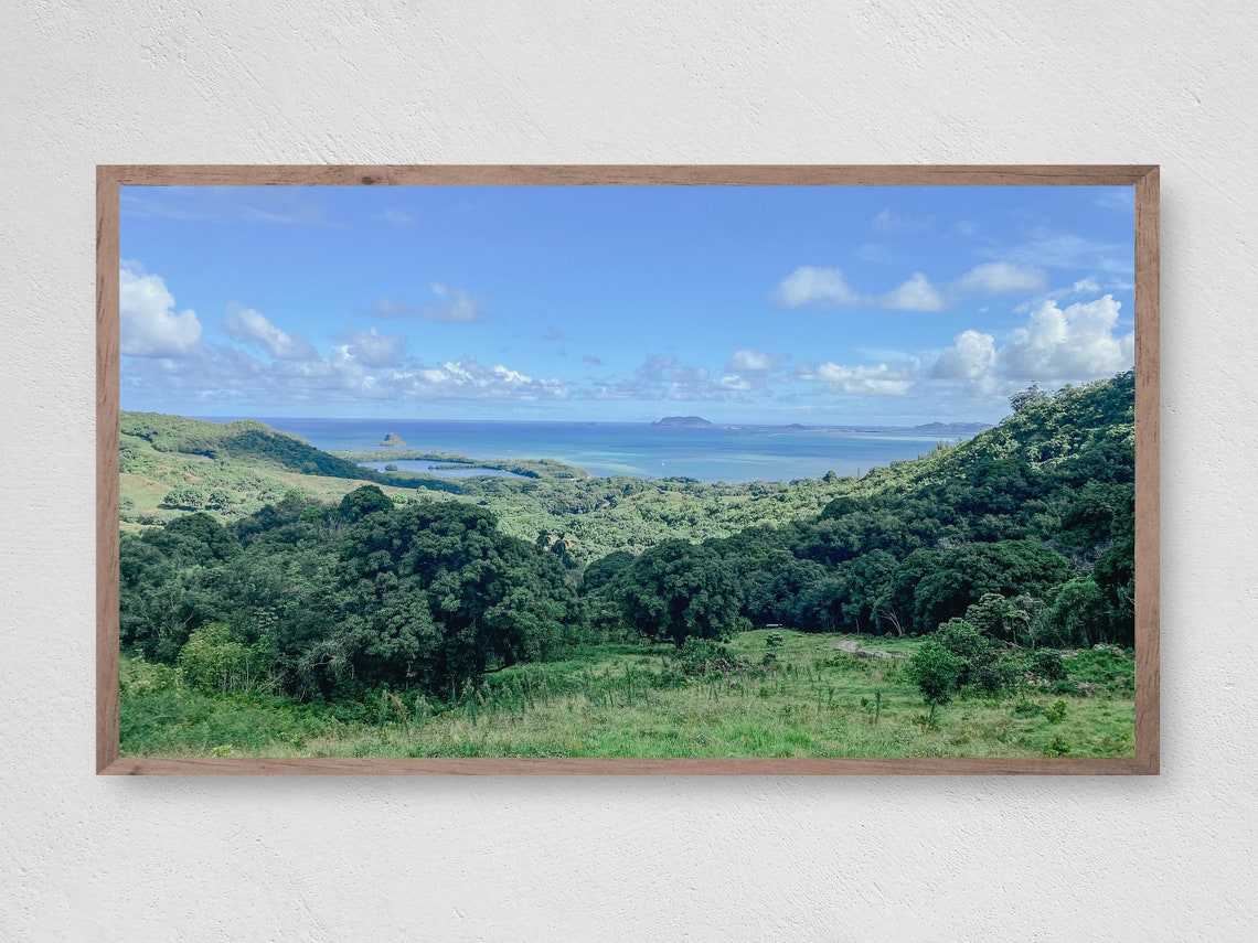 Hawaii Lush Green Valley Ocean View Tropical Hillside Travel Poster