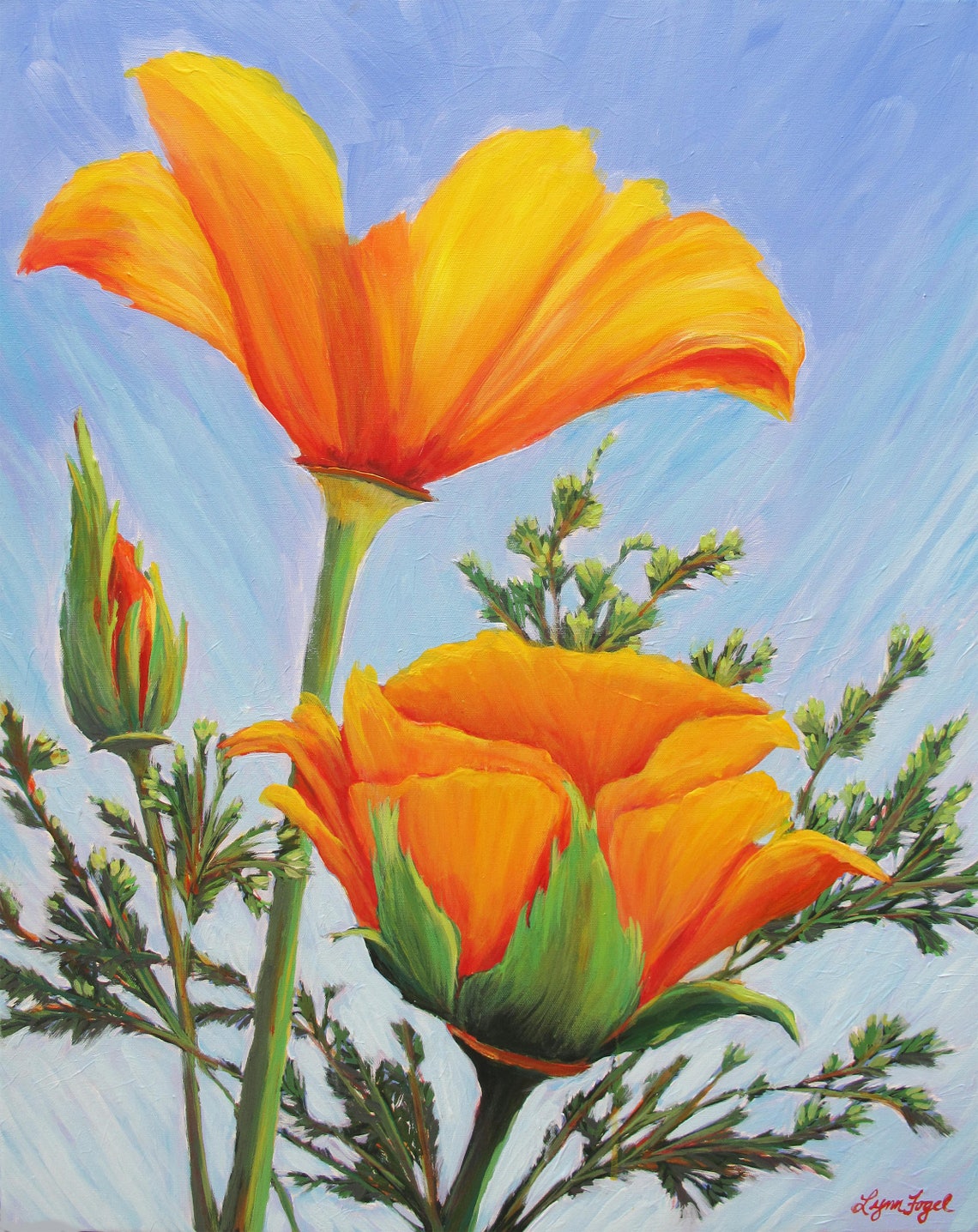 California Poppy 11x14 Matted Print Poppy Art Poppies On Poppy Wall Art California Poppy Prints Poppy Art Print California Poppy