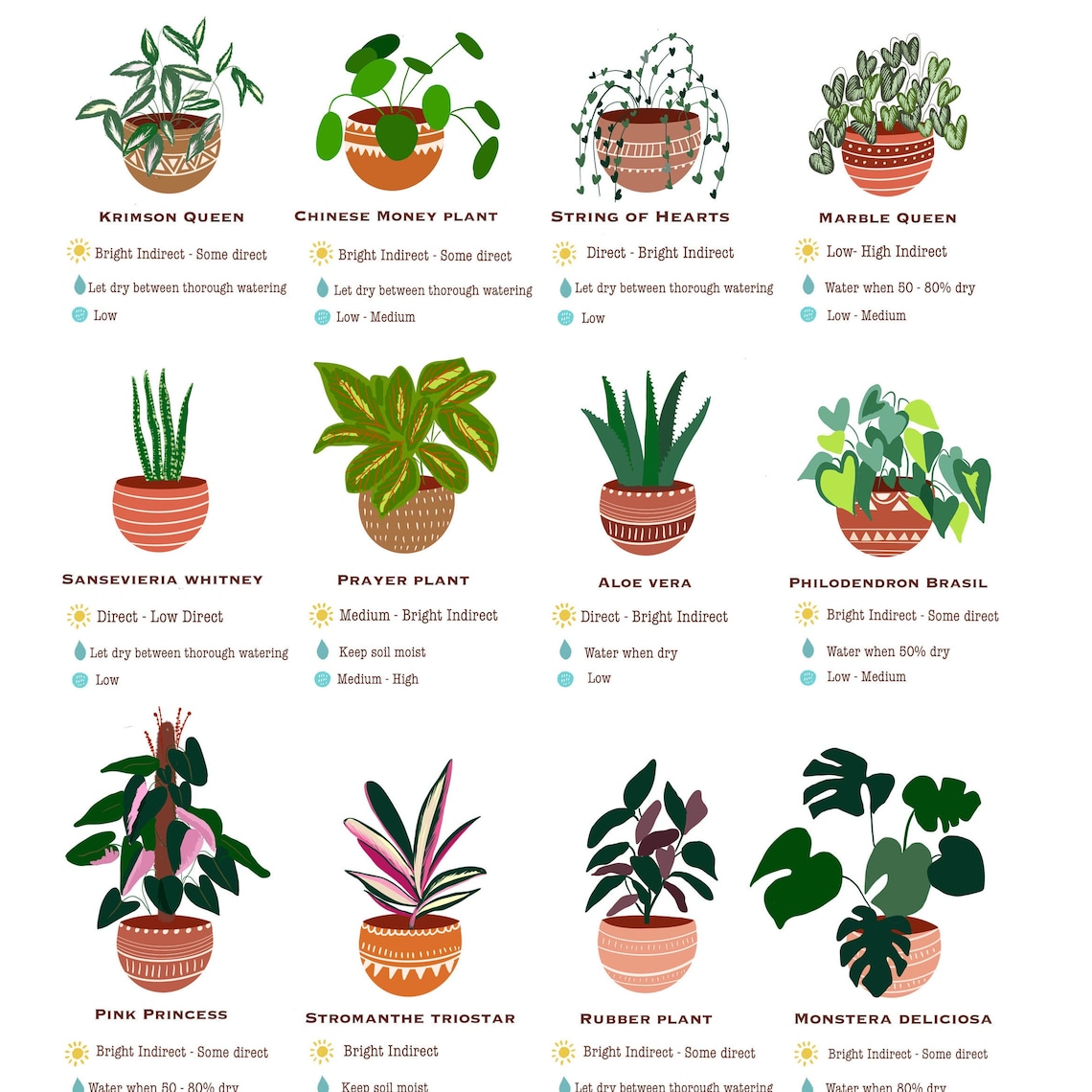 Houseplant Care Guide, Beginner Plant Chart Art Print - Image 2