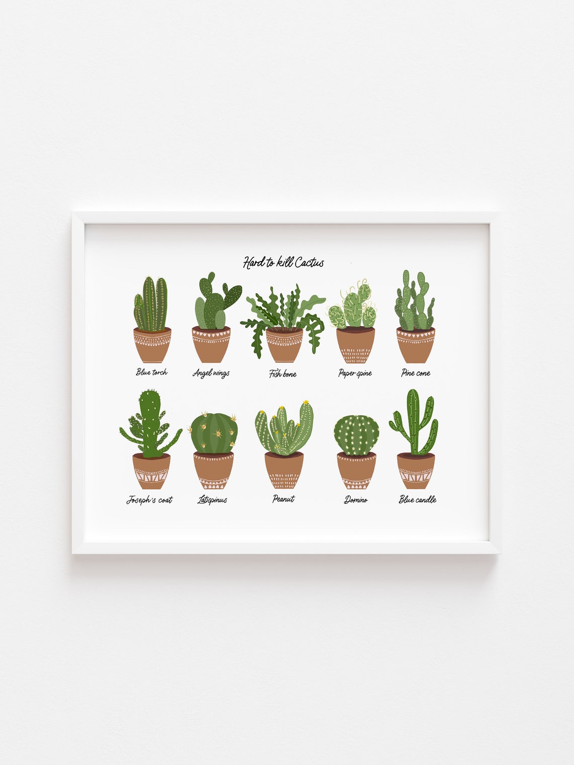 Hard to Kill Cactus Types Illustrated Botanical Chart Framed Art Print