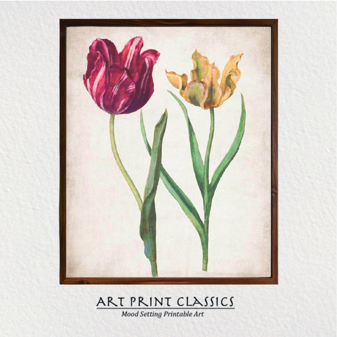Red and Yellow Tulips, Vintage Botanical Art Print