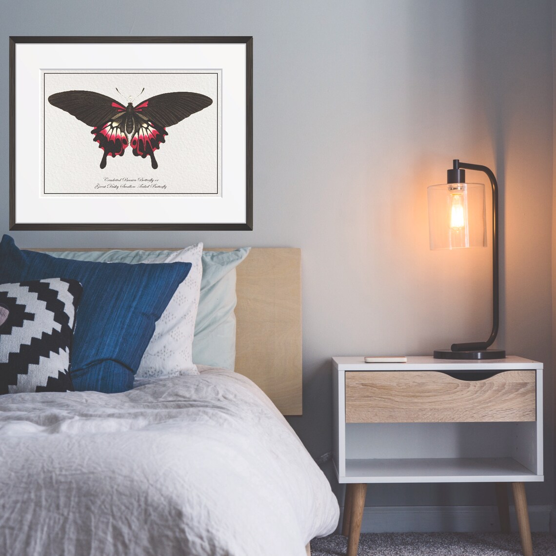 Vintage Black Pink Swallowtail Butterfly Natural History Art Poster - Image 3