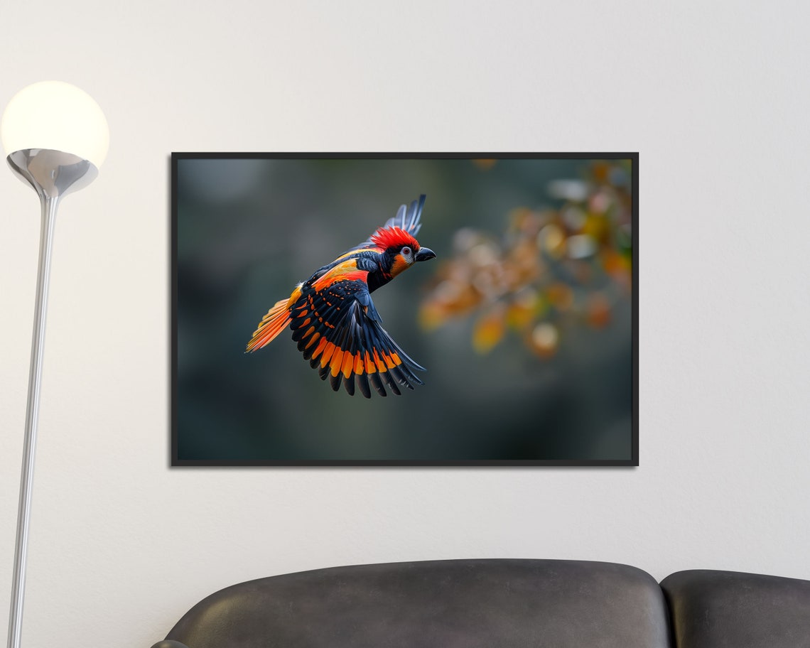 Red And Black Songbird In Flight Wildlife Birdwatcher Art Poster - Image 3