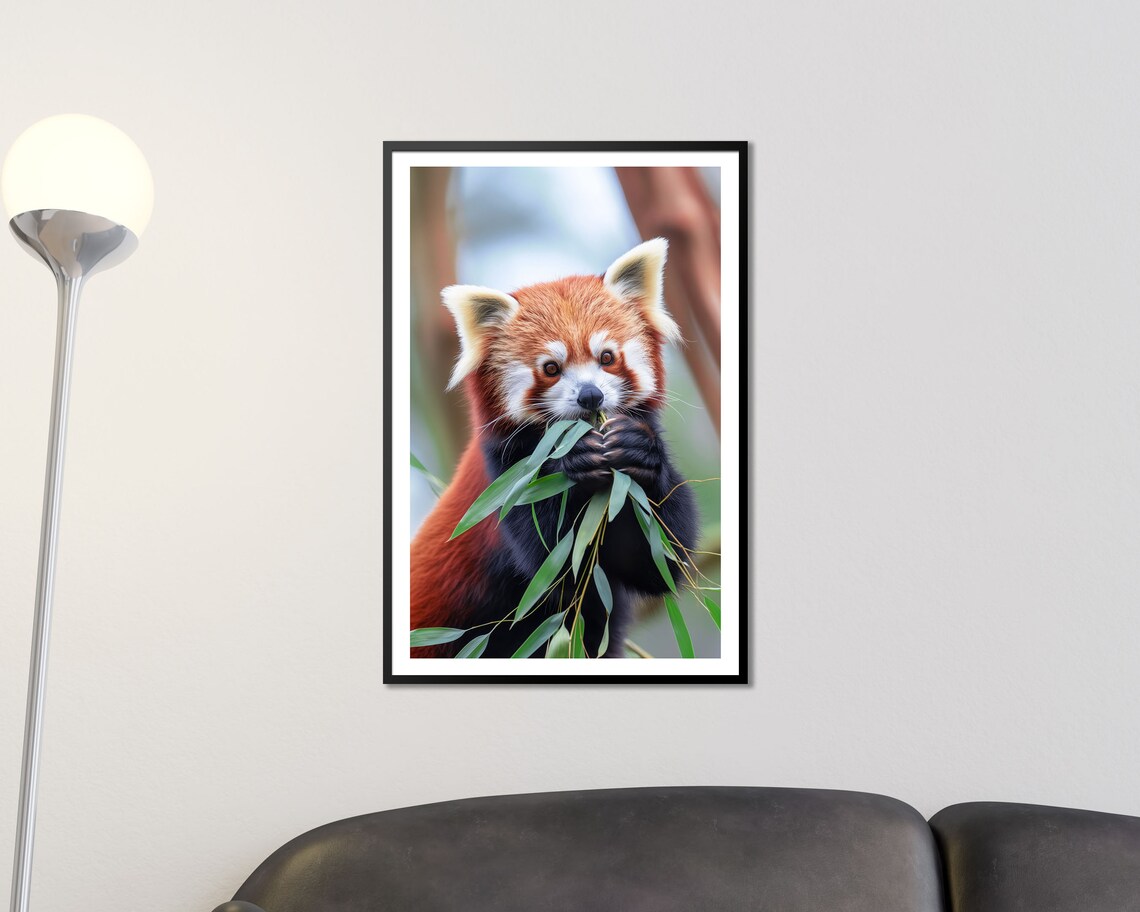 Cute Red Panda Eating Bamboo Close Up Wildlife Photography Wall Poster