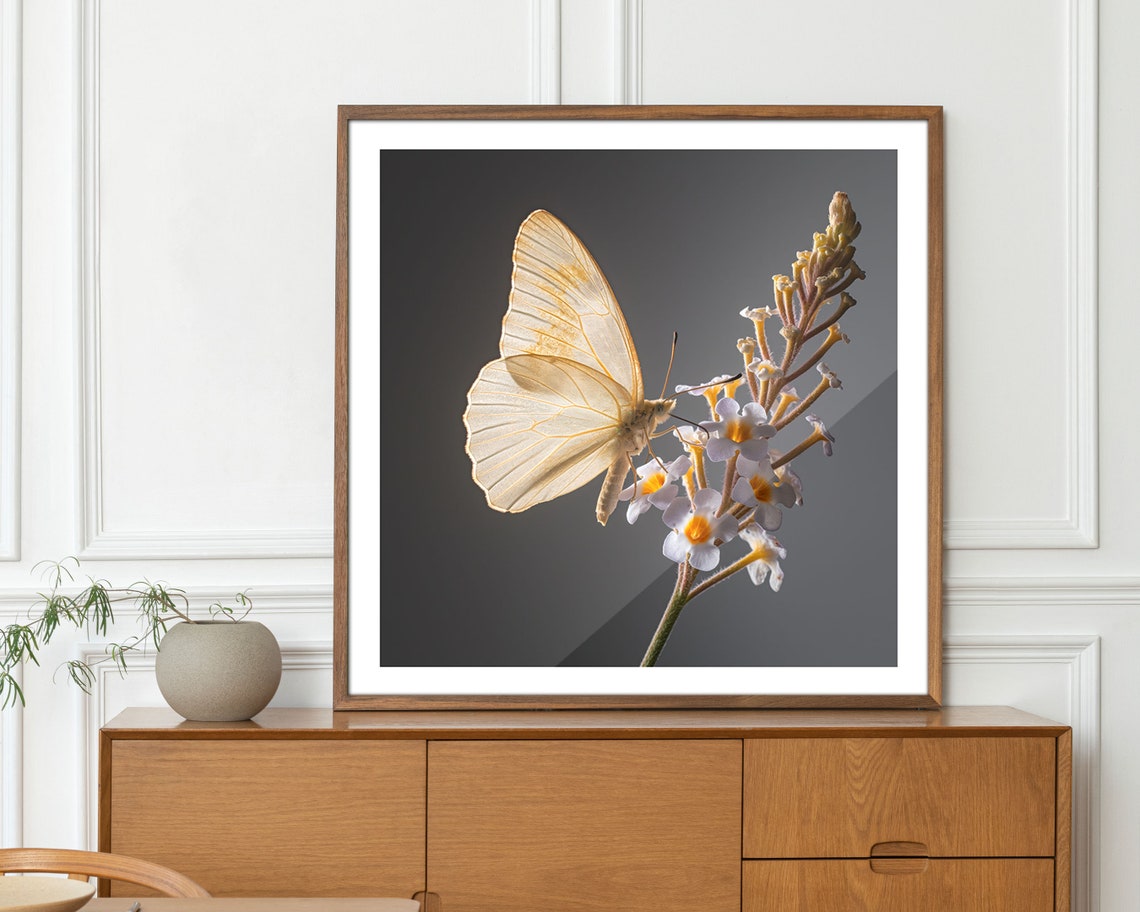 Delicate White Butterfly On Blooming Flowers Minimalist Poster