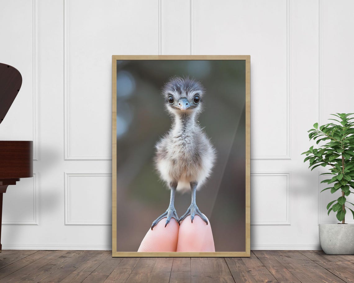 Tiny Baby Emu Chick Standing on Fingertips Cute Photo Wall Art