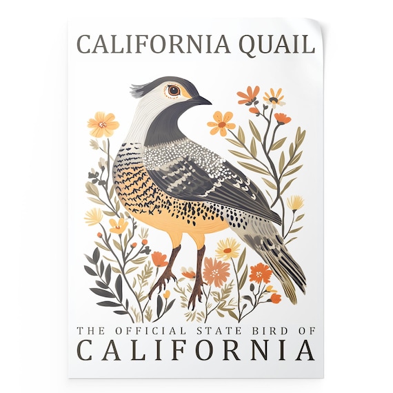Quail Wall Art Print State Bird Poster Vintage Wildlife Artwork Rustic Botanical Illustration Decor