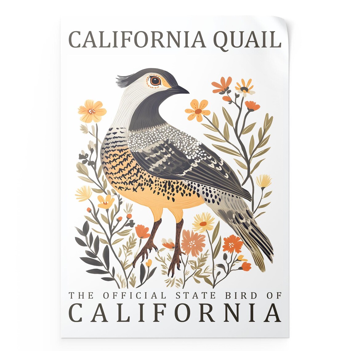 Quail Wall Art Print State Bird Poster Vintage Wildlife Artwork Rustic Botanical Illustration Decor