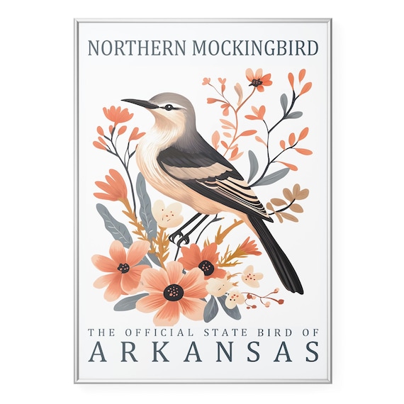 Northern Mockingbird Wall Art Print Arkansas State Bird Poster Vintage Wildlife Artwork Botanical Illustration Home Decor