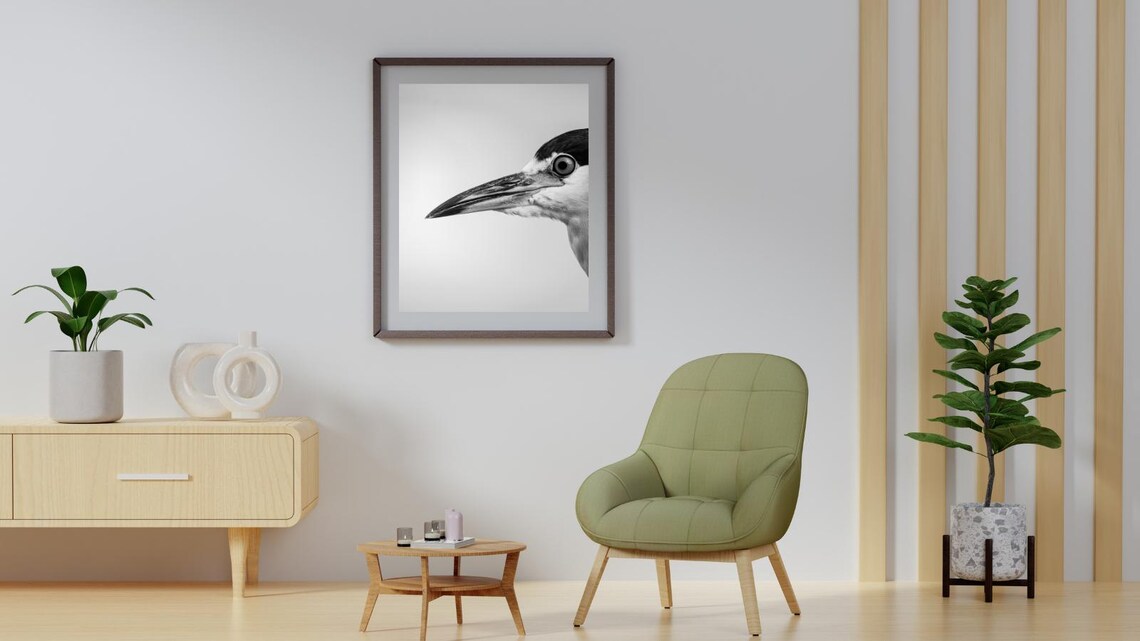 Graceful Heron Portrait, Minimalist Nature Photography - Image 4