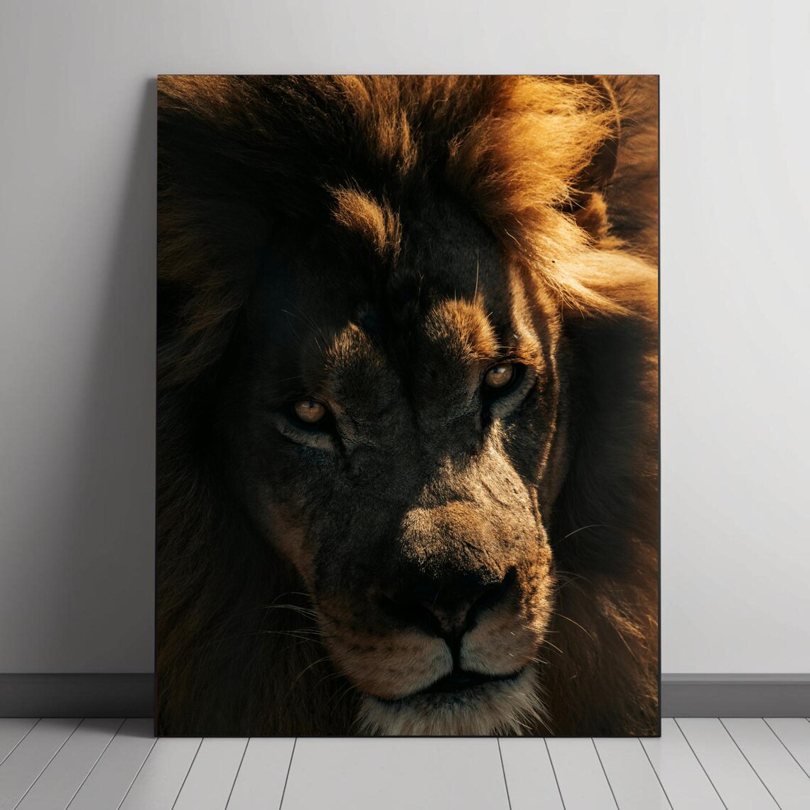 Majestic Lion Portrait, Wildlife Photography