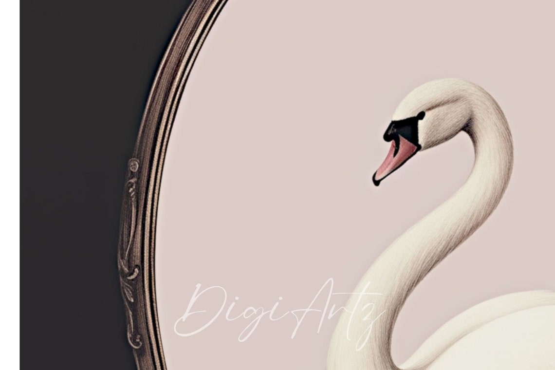 White Swan In Oval Frame On Black Background Minimalist Poster - Image 5