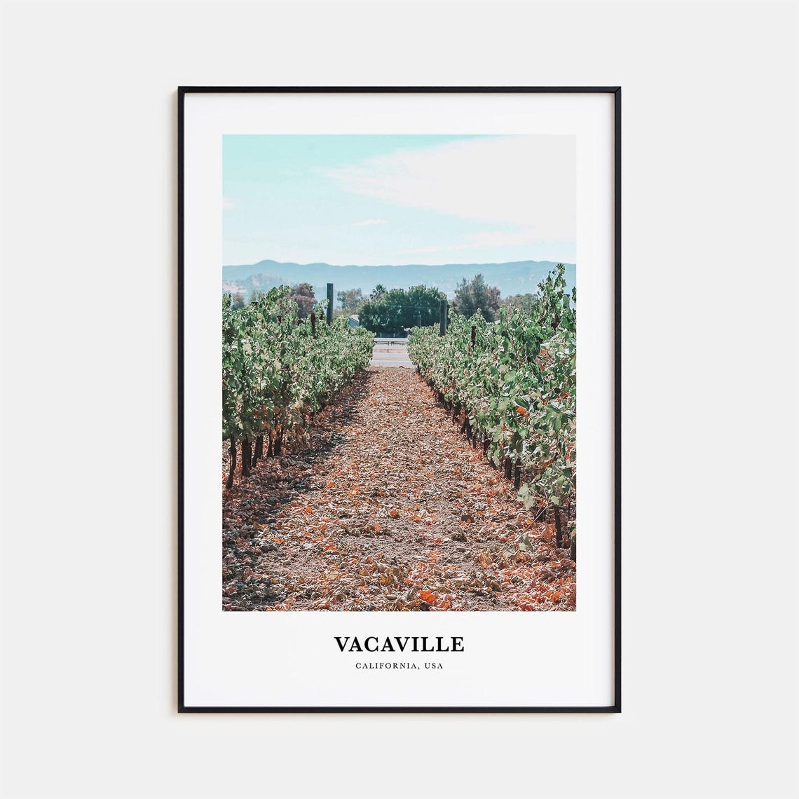 Vacaville Vineyard Rows Country Road California Wine Region Poster