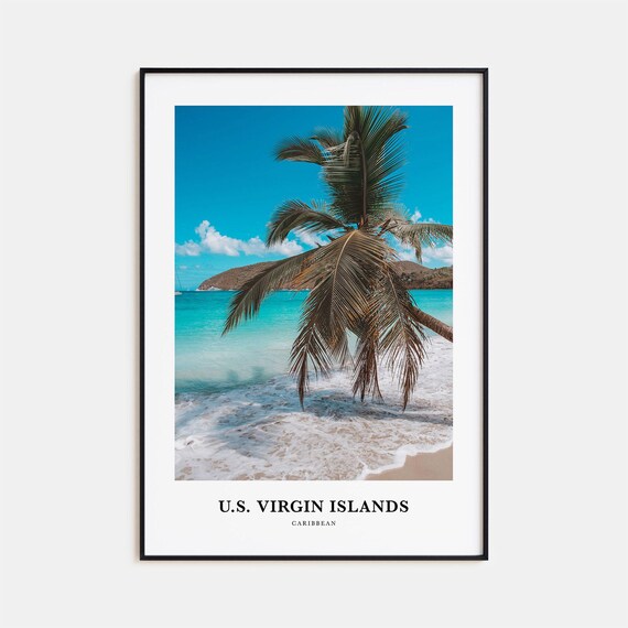 US Virgin Islands Palm Tree Turquoise Beach Caribbean Poster