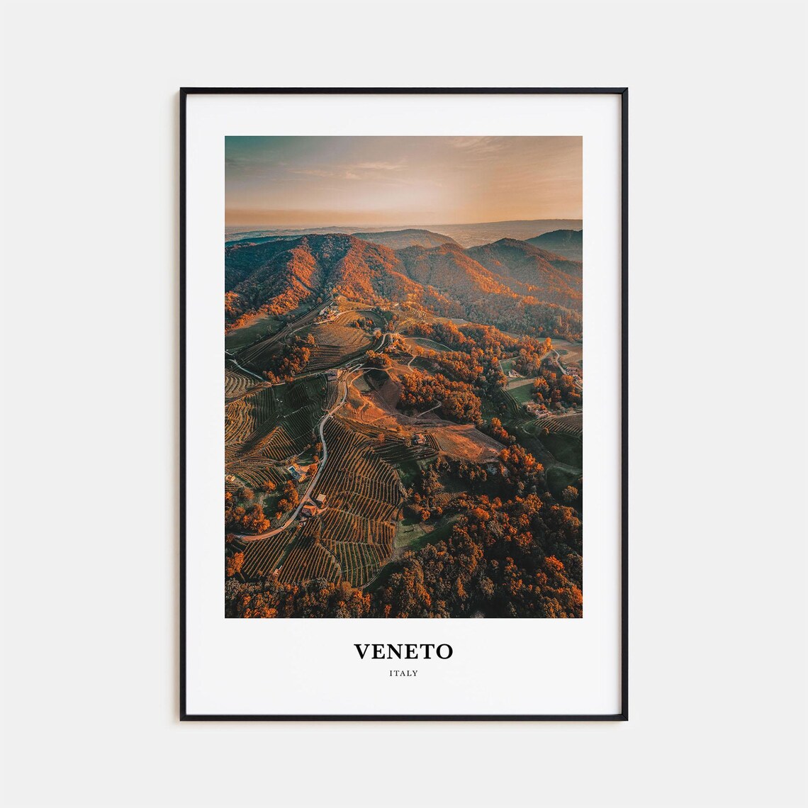 Veneto Italy Vineyard Hills at Golden Hour Aerial Photo Poster