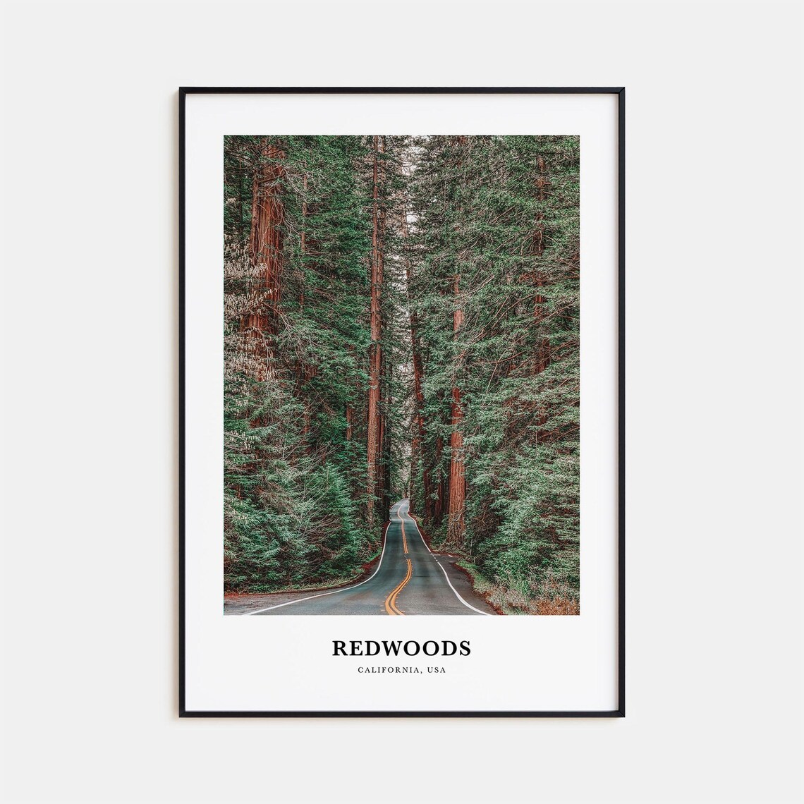 Redwoods Travel Poster, California Landscape Art