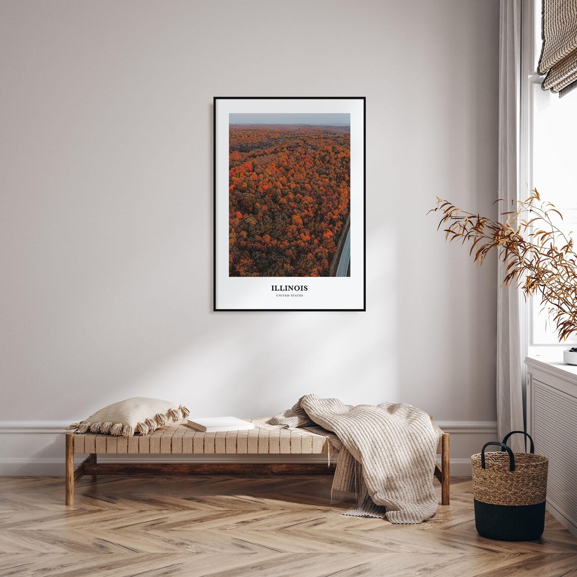 Illinois Fall Foliage Forest Aerial Autumn Photography Travel Poster - Image 3