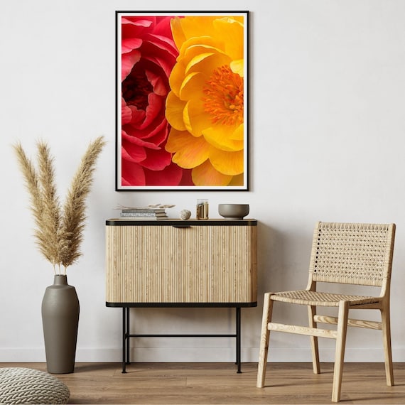 Red Yellow Peony Blooms Bright Floral Closeup Color Art Poster