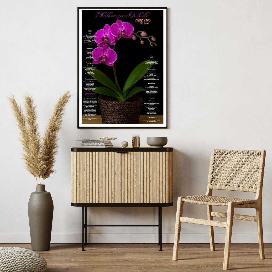 Phalaenopsis Orchid Care Tips Dark Botanical Guide Magenta Photo Poster