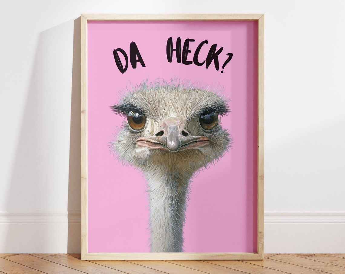 Da Heck Funny Ostrich, Dorm Room Decor Poster