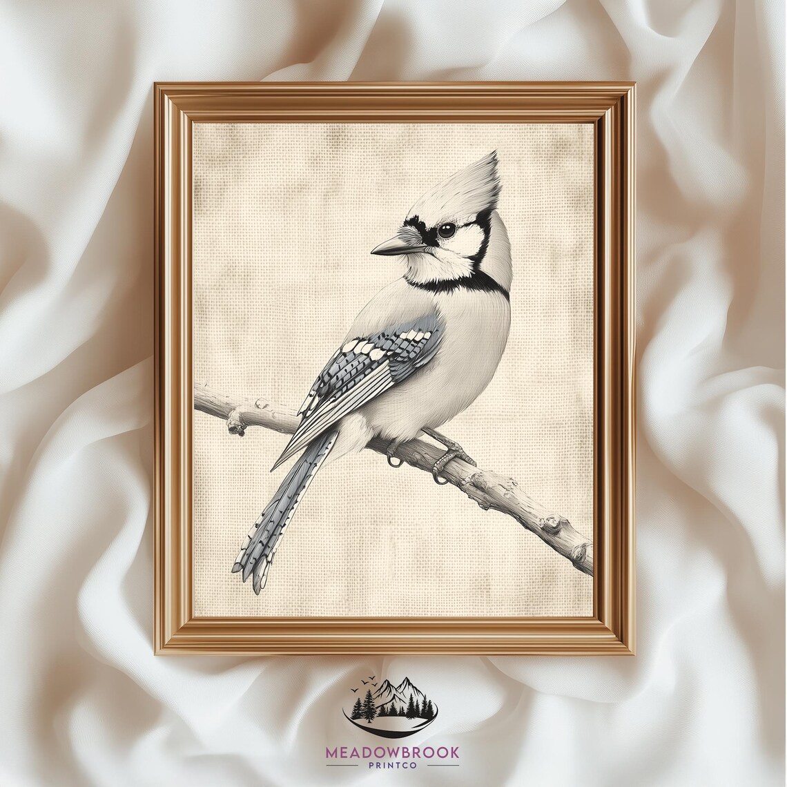 Blue Jay Pencil Sketch Winter Bird Neutral Farmhouse Art Print Poster