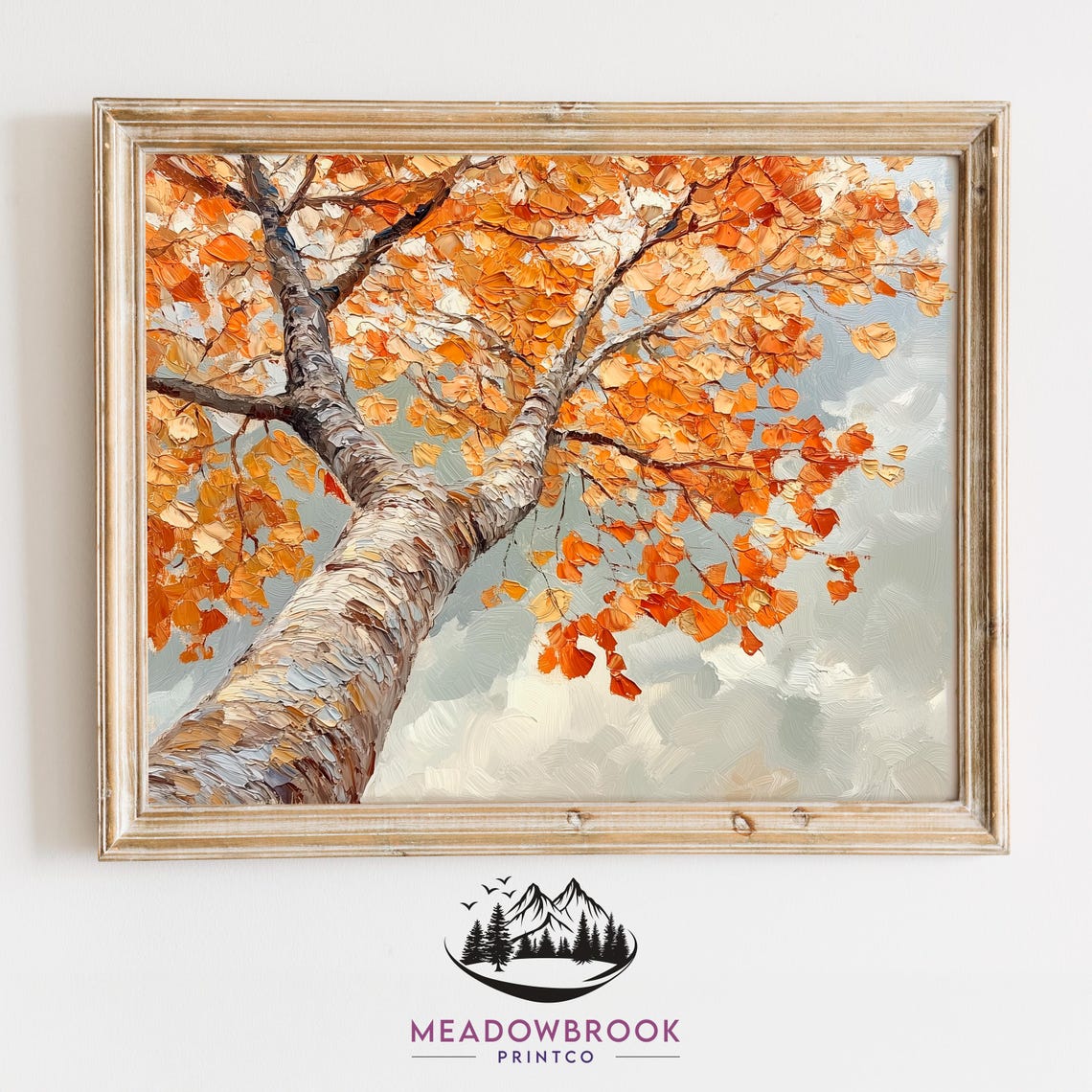 Upward View Of Birch Trunk With Fiery Orange Leaves Fall Nature Print