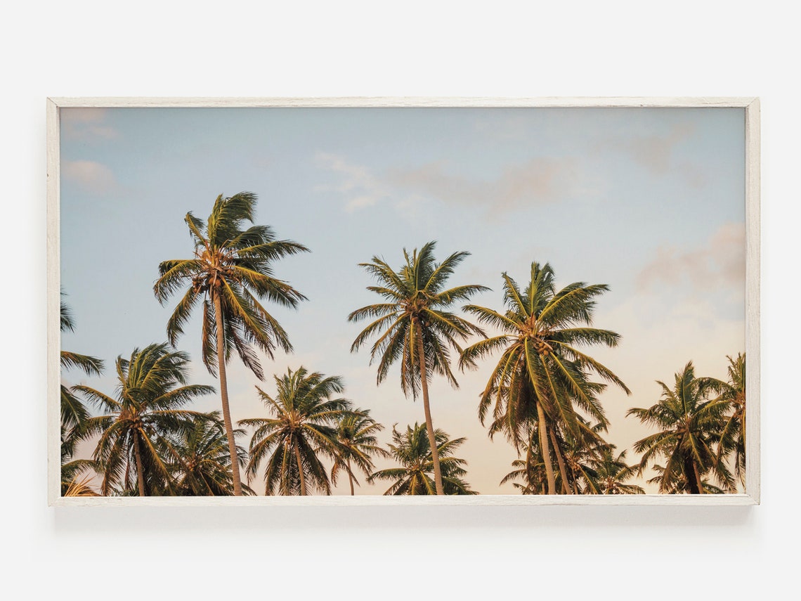 Tropical Coconut Palm Trees Sunset Sky Golden Palm Grove Travel Poster