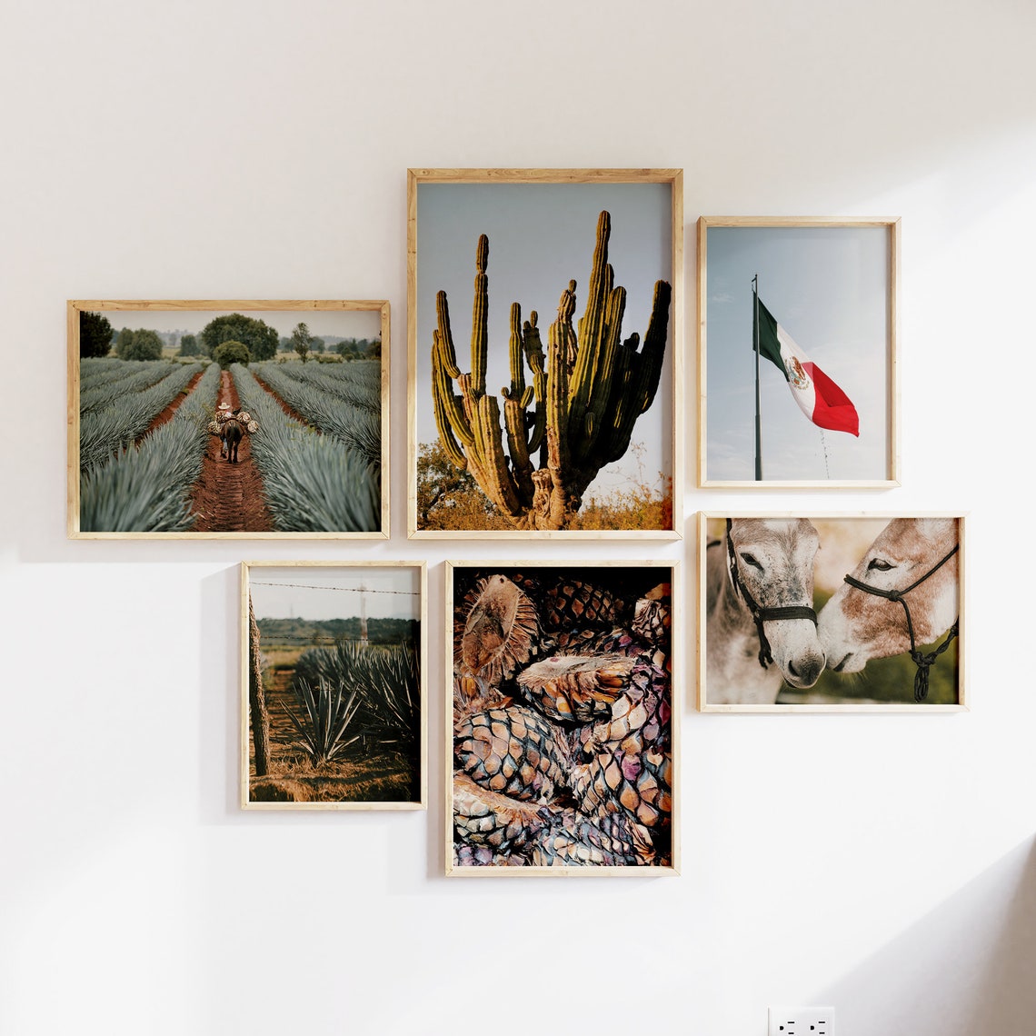 Mexico Heritage Six Piece Gallery Set Agave Cactus Flag Burro Poster