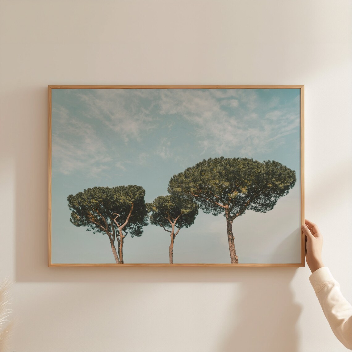 Tuscany Italy Umbrella Pine Rustic Countryside Art Print - Image 3