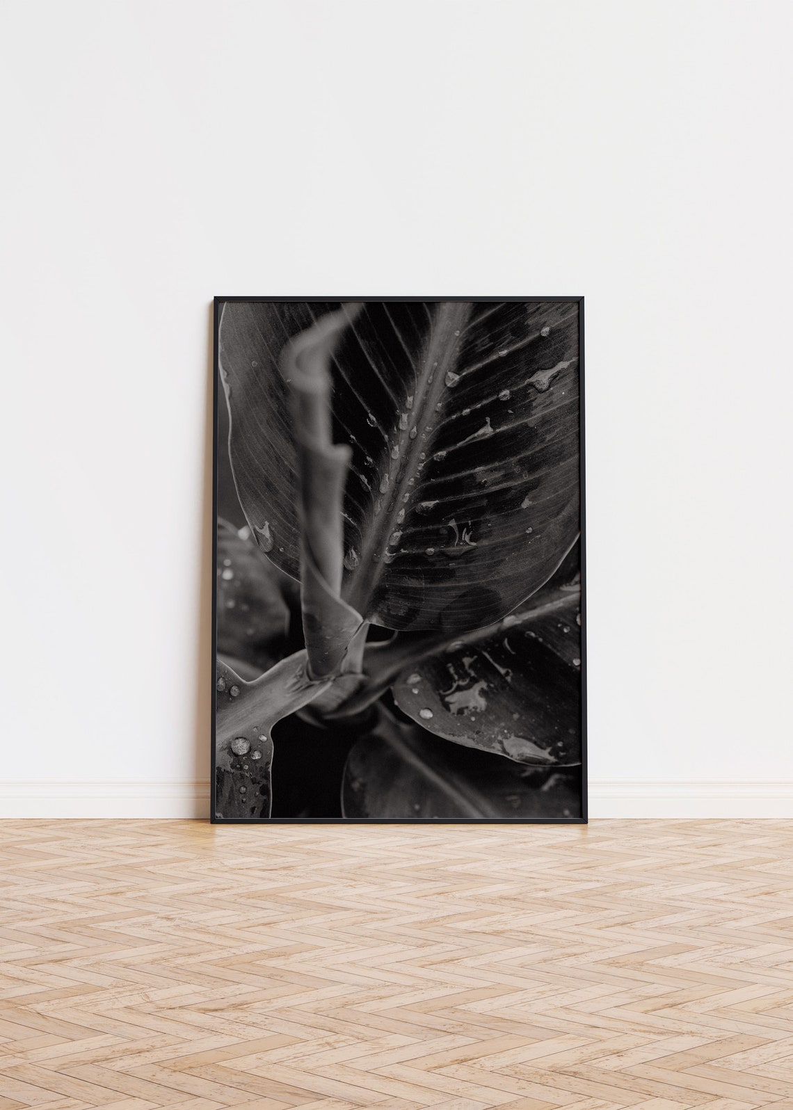 Black and White Leaf Macro Water Drops Dramatic Botanical Photo Poster