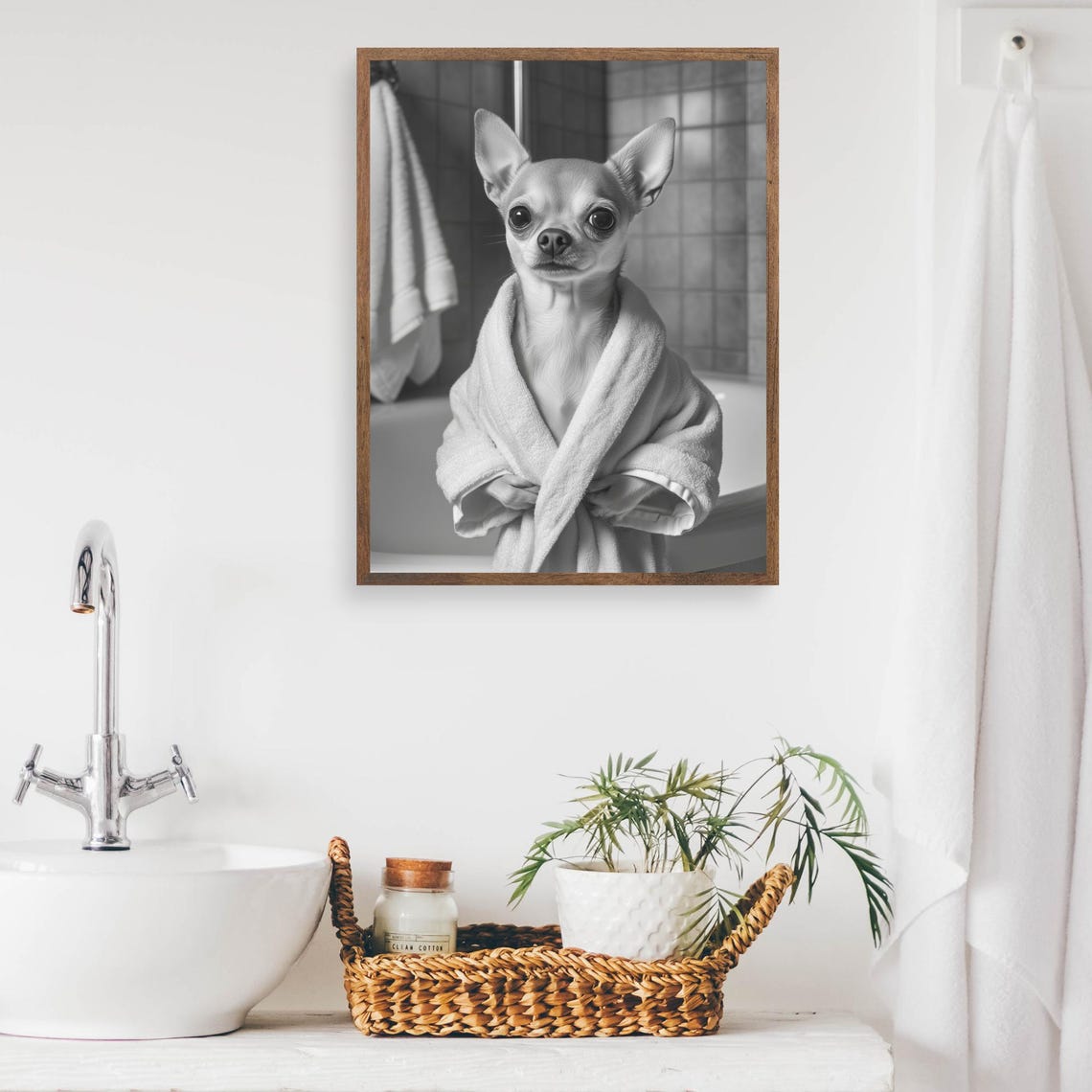 Cute Chihuahua in Bathrobe Black and White Bathroom Wall Art - Image 2
