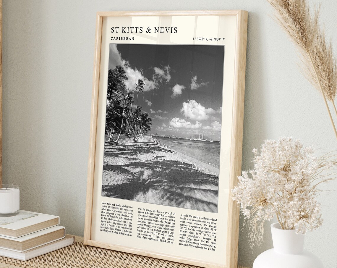 St Kitts and Nevis Caribbean Black White Palm Beach Photo Poster