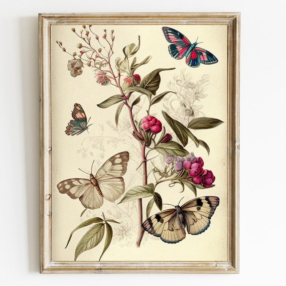 Vintage Butterfly Wall Art Butterfly Botanical Print Butterfly Antique Wall Decor Farmhouse Decor Butterflies Print Insect Wall Art